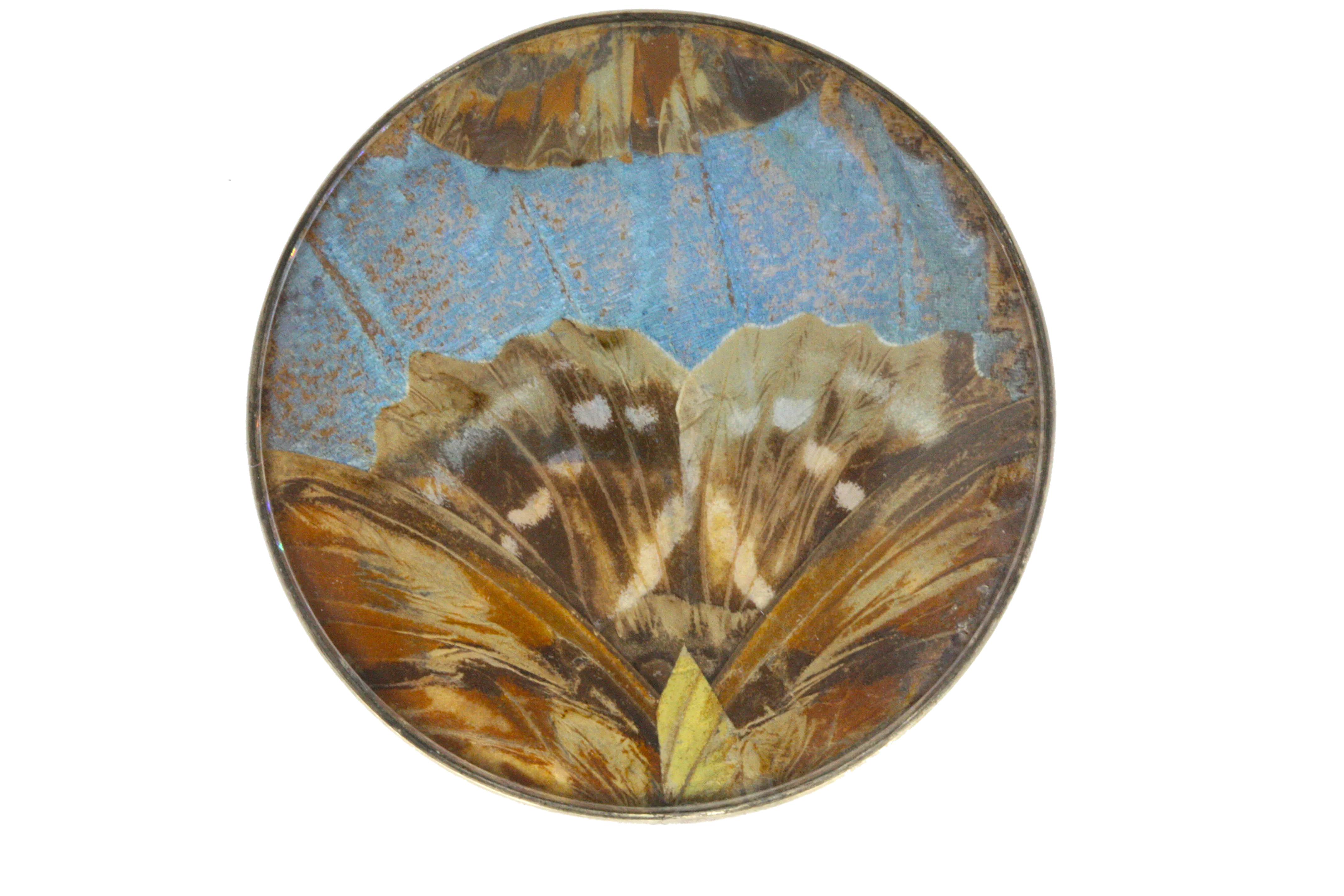 1920s Butterfly Wing Brooch