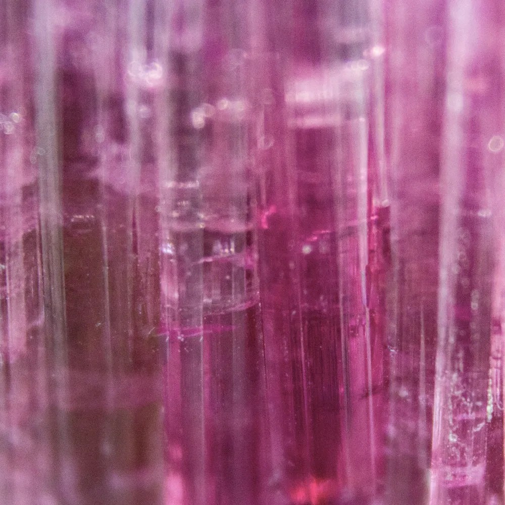 Anillo Chevalier Fucsia