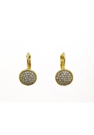 Elegant Jeweled Drop Earrings