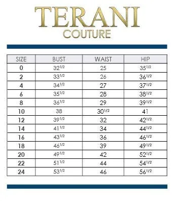 Terani Couture 251GL4318 Dress